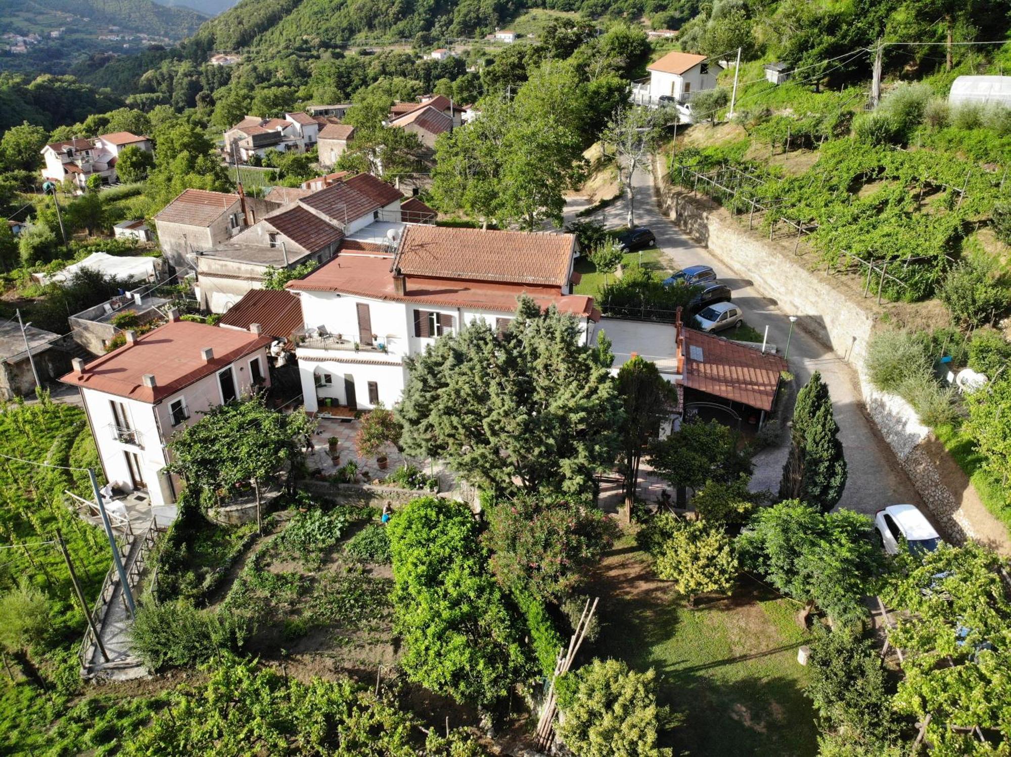 Agriturismo Mare E Monti Guest House Tramonti Exterior photo